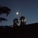 disappear-into-the-role avatar