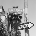 disappointingeveryone avatar