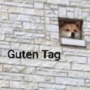 disappointmentsalad avatar