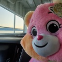 disaster-goose avatar