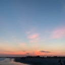 disaster-guys avatar