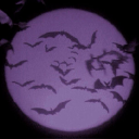 disaster-writer avatar