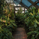 disasterchildtm avatar