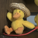 discombobulated-duck avatar