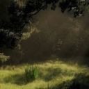 disconnected-feel avatar