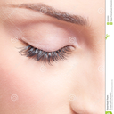 disconnecttoreconnect-blog avatar