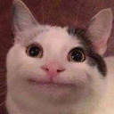 discorporatedmess avatar