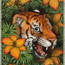 discotiger111 avatar