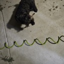 discount-brain-matter avatar