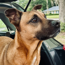 discountmalinois avatar