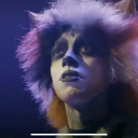 discourse-floofy-cat avatar