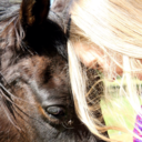 discovering-inner-happiness avatar