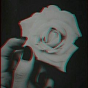 discovernobody avatar