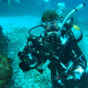 discovery-at-sea avatar