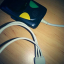 diseasesoftheheart avatar