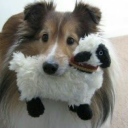 disenchantedfawn avatar