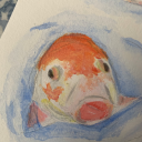 disgruntled-fish avatar