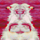 disgruntledseagull avatar