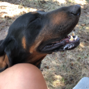 dishwater-wishdaughter avatar