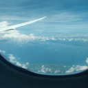 disinktrovert avatar