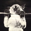 disko-inferno avatar