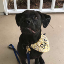 disney-food-love avatar