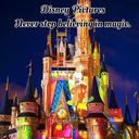 disney-pictures-blog avatar