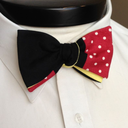 disneyalltiedup avatar