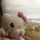 disneyfanatic-kitty avatar