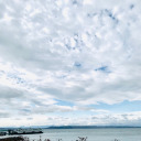 disneygirlinsperrys avatar