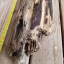 disneyhasallmymoney avatar