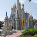 disneyhome-blog avatar