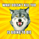 disneyprincesshell avatar