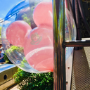 disneyworldballoons avatar