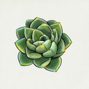 disocactus avatar