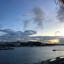 disp0ssessssion avatar