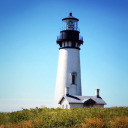 disposablecrow avatar