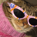 disprop0rtionate avatar