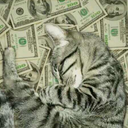 disregardmalesacquireself avatar