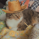 diss-appointed avatar