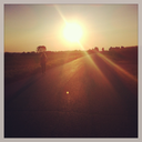 dissatisfactorygirl avatar