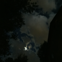 dissociativerabble avatar