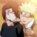 distance-of-birds avatar