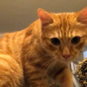 distancememories05 avatar