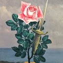 distant--shadow avatar