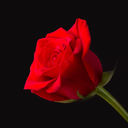 distantsoulmate avatar