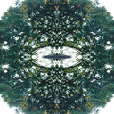 distantvantagepoint avatar