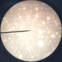 distinguisheddictator avatar