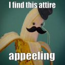 distinguishedgladiatorbanana avatar