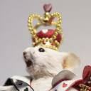 distinguishedlady avatar